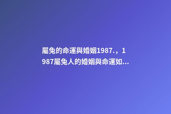 屬兔的命運與婚姻1987.，1987屬兔人的婚姻與命運如何 87年屬兔2022年婚姻最終歸宿